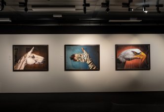 Museo Cantonale di Storia Naturale di Lugano (CH)